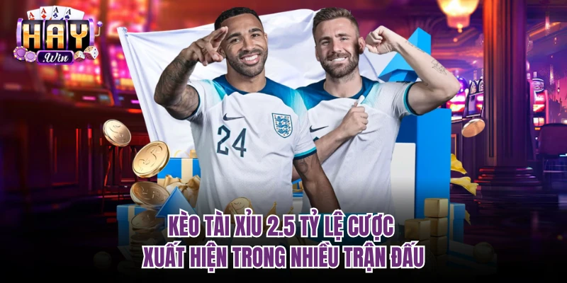 Kèo Tài Xỉu 2.5 tỷ lệ cược xuất hiện trong nhiều trận đấu