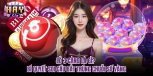 lô 3 càng là gì